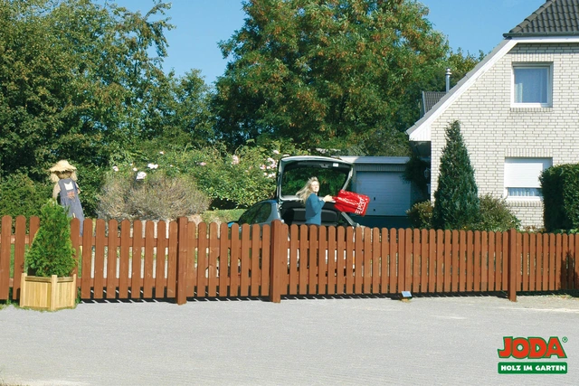 Gibraltar-walnuss chin-Zeder JODA