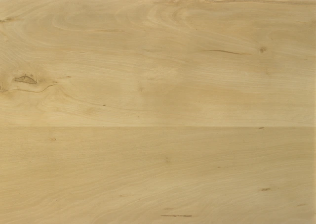 Aktion Vinyl Polarbirke