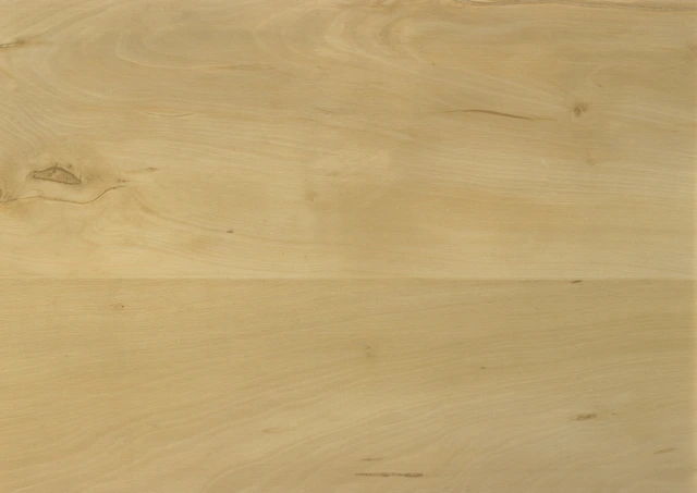 Aktion Vinyl Polarbirke kl